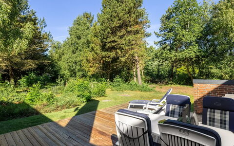Ullamaj - 700M from the Sea: Boom, Meubilair, Struik, Stoel, Tuin, Land Lot, Buitenmeubels, Schaduw, Landscaping, Verblijf