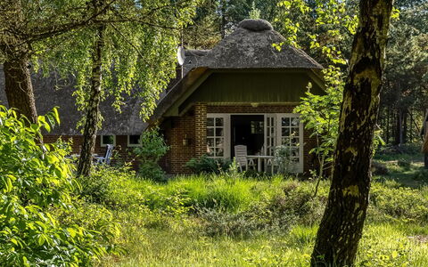 Ullamaj - 700M from the Sea: Vegetation, Thatching, Dak, Huis, Verblijf, Struik, Landelijk Gebied, Huis, Plantengemeenschap, Tuin