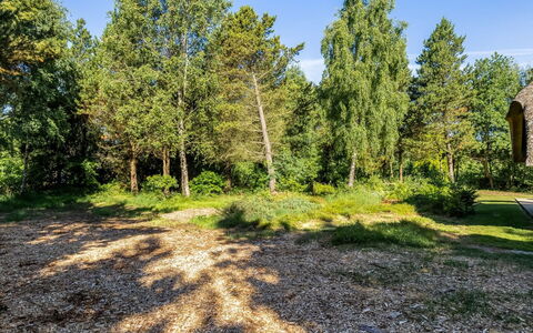 Ullamaj - 700M from the Sea: Blad, Boom, Gras, Afdeling, Vegetation, Struik, Plantengemeenschap, Tuin, Groundcover, Trunk