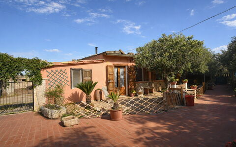 Ranch Salomonello: Bloempot, Struik, Deur, Kamerplant, Hacienda, Schaduw, Werf, Landscaping, Backyard