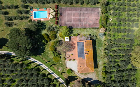 Il Leccio, Vinci, Private Pool and Tennis: Boom, Landschap, Land Lot, Landgoed, Plantage, Tuin, Landscaping, Vogelperspectief, Gazon, Park