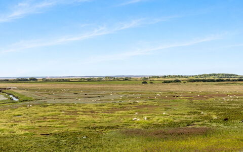 Nadua - 25M from the Sea: Lucht, Groen, Natuurlijke Omgeving, Grasland, Ecoregio, Natuurlijk Landschap, Plain, Horizon, Steppe, Prairie