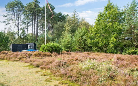 Sorja - 170M from the Sea: Boom, Gras, Vegetation, Struik, Grasland, Plantengemeenschap, Land Lot, Shrubland
