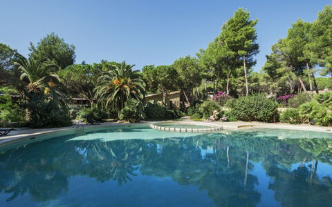 Pula 661: Water, Boom, Zwembad, Toevlucht, Tuin, Eco Hotel, Schaduw, Landscaping, Tropen