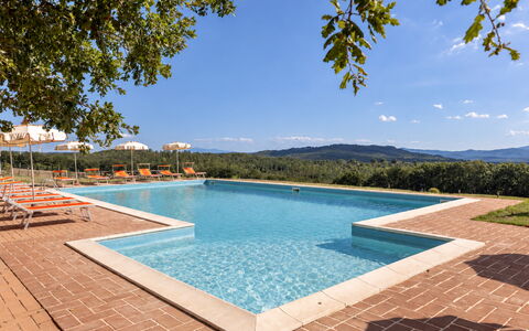 Casa Stella Serena, Casole D'Elsa, Pool: Zwembad, Eco Hotel, Toevlucht, Landgoed, Hacienda, Boerderij, Villa, Landscaping, Badplaats, Hotel