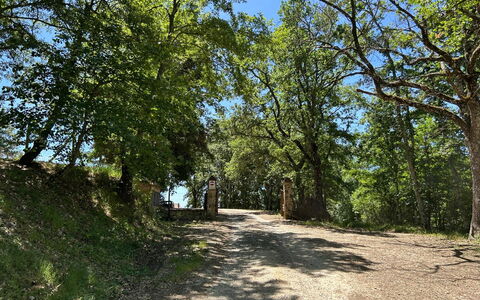 Casa Stella Serena, Casole D'Elsa, Pool: Afdeling, Blad, Boom, Natuurlijke Omgeving, Natuur, Hout, Vegetation, Natuurlijk Landschap, Weg, Trail