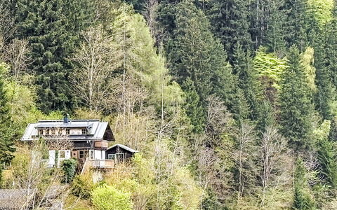 Chalet Kitzsteinhorn: Boom, Natuurlijke Omgeving, Vegetation, Huis, Struik, Woud, Verblijf, Plantengemeenschap, Huis