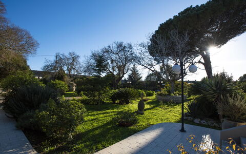 Tenuta Renna: Blad, Groen, Natuur, Boom, Vegetation, Afdeling, Struik, Landschap, Tuin