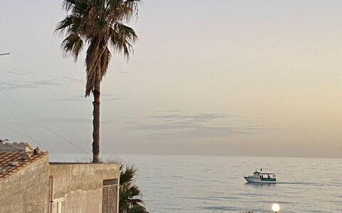 Casa Amare: Lucht, Zee, Kust, Strand, Kust En Oceanic Landvormen, Oceaan, Tropen, Trunk, Woody Plant, Kust