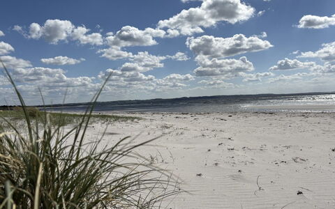 Gizelle - 200M from the Sea: Lucht, Blauw, Wolk, Dag, Natuurlijke Omgeving, Horizon, Strand, Cumulus, Ecoregio, Zand