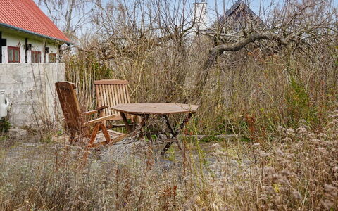 Espen - 300M from the Sea: Struik, Landelijk Gebied, Verblijf, De Lente, Boerderij, Takje, Tuin, Backyard, Werf