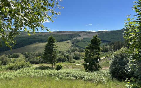 Highland Hillside Retreat: Bergachtig Landvormen, Groen, Boom, Natuurlijke Omgeving, Natuur, Heuvel, Berg, Vegetation, Natuurlijk Landschap, Grasland