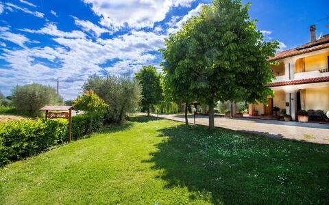 Gli Ulivi: Blauw, Land Lot, Gazon, Tuin, Landgoed, Boerderij, Schaduw, Werf, Landscaping, Hacienda