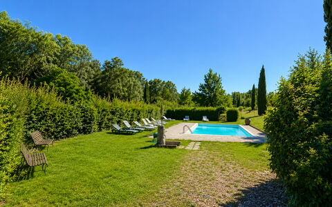 Civico108 Vacation Home, Pool, Castellina in Chian: Struik, Zwembad, Tuin, Gazon, Groundcover, Landscaping, Haag, Buitenmeubels, Schaduw, Landgoed