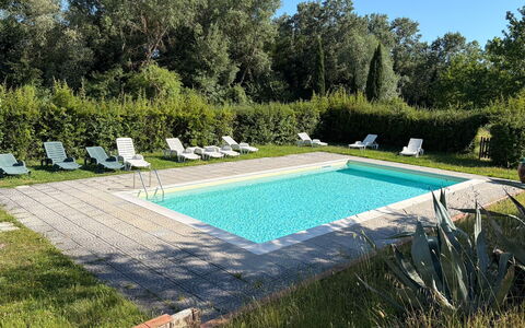 Civico108 Vacation Home, Pool, Castellina in Chian: Zwembad, Buitenmeubels, Tuin, Toevlucht, Backyard, Gazon, Landgoed, Schaduw, Landscaping, Werf