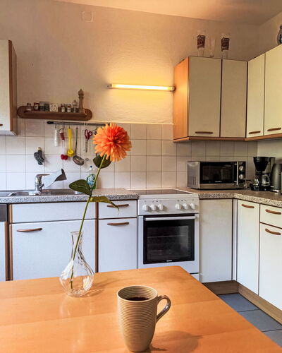 Seeidylle Ossiacher See Apt. 1 20.1