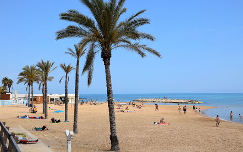 Villa Andrea: Lucht, Zwemwater, Strand, Kust, Zomer, Zee, Kust En Oceanic Landvormen, Zand, Kust, Horizon