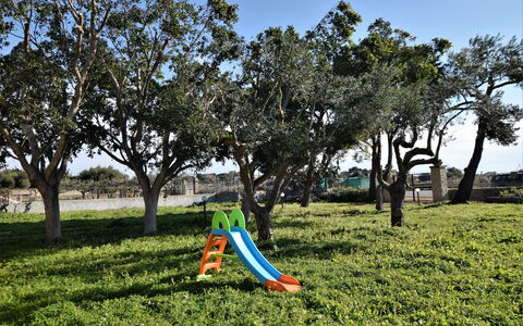 Villa Andrea: Blad, Afdeling, Vegetation, Trunk, Schaduw, Groundcover, De Lente, Tuin, Woody Plant, Zonlicht