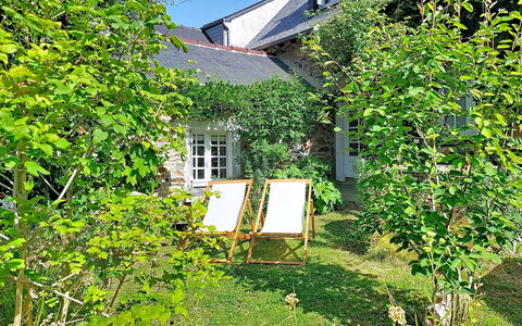 La Dolce Vita Brezhoneg: Groen, Blad, Struik, Verblijf, Tuin, De Lente, Groundcover, Schaduw, Backyard, Werf