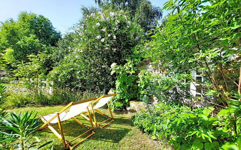 La Dolce Vita Brezhoneg: Groen, Vegetation, Struik, Tuin, De Lente, Schaduw, Backyard, Gazon, Werf, Landscaping