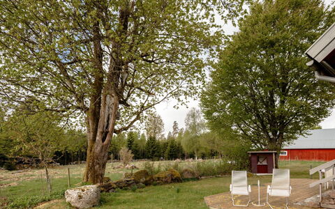 Grönadal: Boom, Blad, Afdeling, Gras, Struik, Land Lot, Tuin, Gazon, Takje
