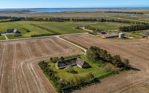 Petteri - 600M to the Fjord: Plain, Landschap, Ecoregio, Grasland, Land Lot, Veld, Landelijk Gebied, Luchtfotografie, Menselijke Nederzetting, Vogelperspectief