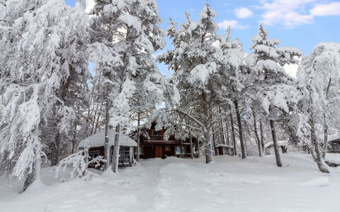 Ohola: Sneeuw, Winter, Afdeling, Boom, Hout, Takje, Huis, Verblijf, Freezing, Huis