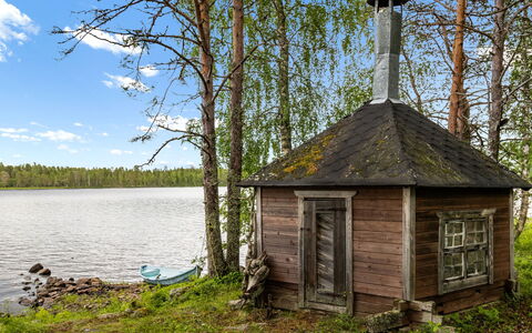 Ohola: Boom, Hout, Landschap, Woud, Landelijk Gebied, Bank, Hut, Schuur, Trunk
