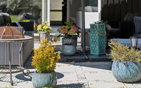 Loreia - 1.4Km from the Sea: Meubilair, Buitenmeubels, Tableware, Tafel, Drinkware, Stoel, Buitentafel, Voedsel, Fles