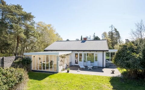 Ileana - 250M from the Sea: Vegetation, Struik, De Lente, Verblijf, Tuin, Schaduw, Backyard, Werf, Stoel