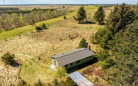 Fatlinda - 4Km from the Sea: Hout, Tuin, Backyard, Land Lot, Huis, Dak, Schaduw, Dek, Hardwood, Werf