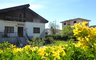 House Angy