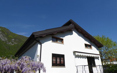 House Angy