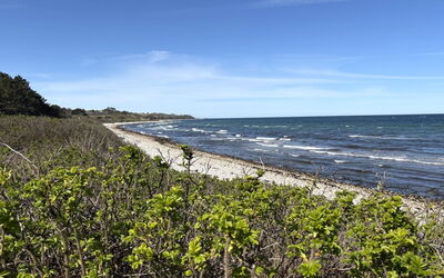 Asvalde - 175M from the Sea