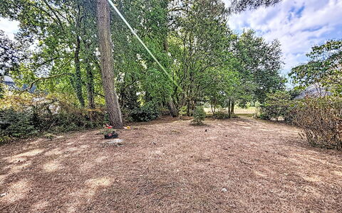 Ploemel 102: Boom, Blad, Afdeling, Struik, Plantengemeenschap, Bodem, Land Lot, Trail, Trunk, Groundcover