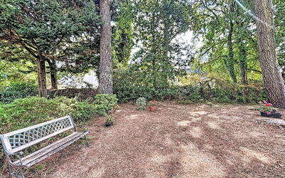 Ploemel 102: Blad, Natuur, Afdeling, Vegetation, Struik, Tuin, Plantengemeenschap, Groundcover, Trunk, De Lente
