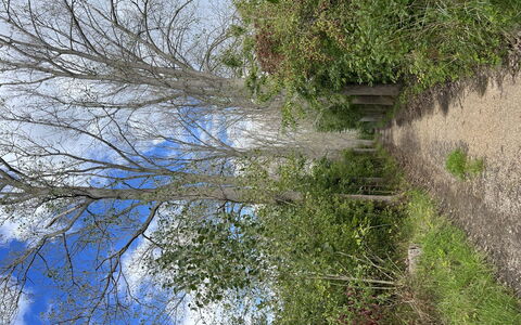 De Witte Parel: Zwembad, Toevlucht, Eco Hotel, Schaduw, Hotel, Landscaping, Villa, Badplaats, Balkon