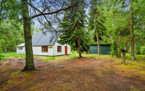 Jooseppi - 4.8Km from the Sea: Boom, Gras, Hout, Verblijf, Huis, Land Lot, Landelijk Gebied, Trunk, Bos, Garden Gebouwen