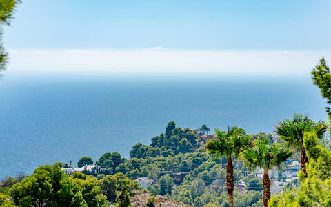 Preciados: Blauw, Lucht, Horizon, Zee, Kust En Oceanic Landvormen, Oceaan, Kust, Tropen