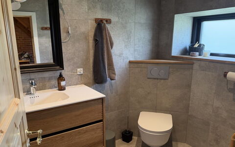 Aika - 1.6Km to the Fjord: Flooring, Verdieping, Loodgieterswerkinrichting, Badkamerkast, Interieur Ontwerp, Toilet, Wc Bril, Wastafel, Badkamer, Loodgieter