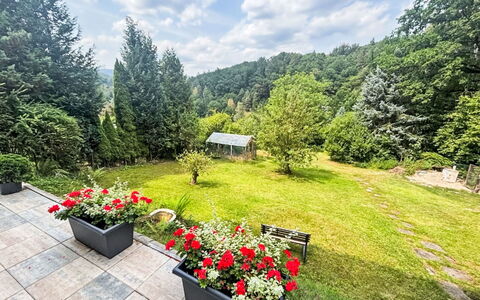 Děčín Heights: Vegetation, Struik, Landschap, Tuin, Groundcover, De Lente, Landscaping, Botanische Tuin, Evergreen