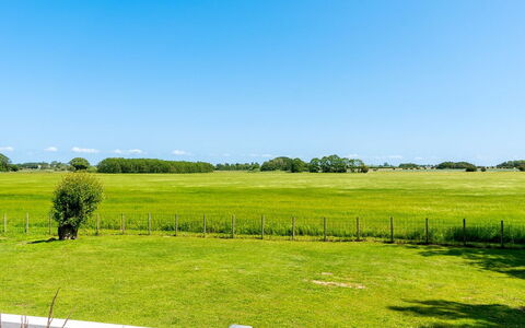 Saku - 375M from the Sea: Lucht, Blauw, Groen, Dag, Gras, Natuurlijke Omgeving, Grasland, Natuurlijk Landschap, Plain, Wolk