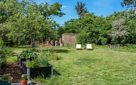 Franki - 1.8Km from the Sea: Vegetation, Struik, Tuin, Land Lot, Plantengemeenschap, Groundcover, Gazon, Schaduw, Backyard