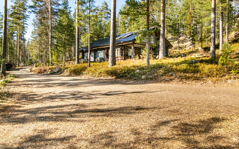 Villa Underberg: Boom, Bos, Woud, Trunk, Verblijf, Lariks, Bosje, Blokhut