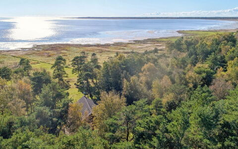 Aman - 100M from the Sea: Gras, Hout, Landelijk Gebied, Struik, Verblijf, Dak, Plain, Land Lot, Huis, Groundcover