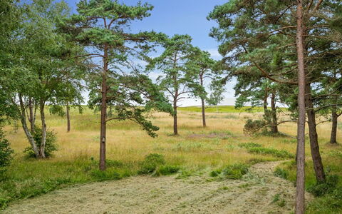 Aman - 100M from the Sea: Gras, Hout, Landelijk Gebied, Struik, Verblijf, Dak, Plain, Land Lot, Huis, Groundcover