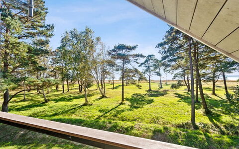 Aman - 100M from the Sea: Gras, Hout, Landelijk Gebied, Struik, Verblijf, Dak, Plain, Land Lot, Huis, Groundcover