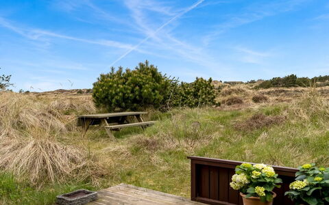 Thorgny - 1Km from the Sea: Plantengemeenschap, Zonlicht, Kruidachtige Plant, Tuin, Plantage, Landbouw, Boerderij