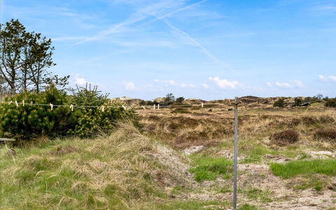 Thorgny - 1Km from the Sea: Plantengemeenschap, Zonlicht, Kruidachtige Plant, Tuin, Plantage, Landbouw, Boerderij