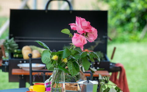 Casa dei Nonni: Tuin, Produceren, Bloemisterij, Fruit, Bloempot, Voedsel, Buitentafel, Tafelkleed, Rose Family
